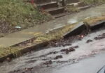 ‘Clean Curb Saturday’ Seeks To Help Reduce Flood Issues
